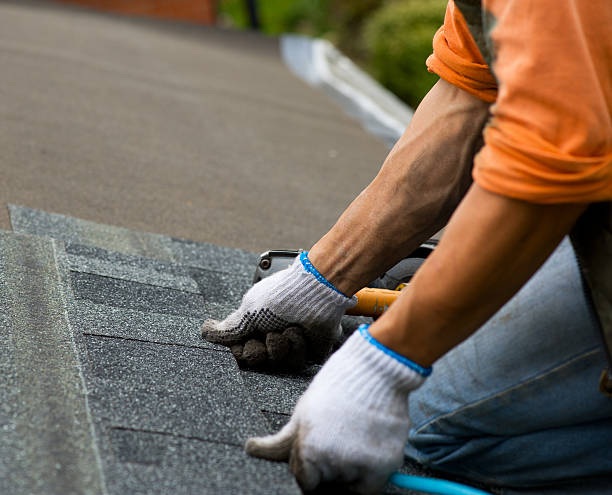 Best Roof Maintenance Services  in Lakes East, CT